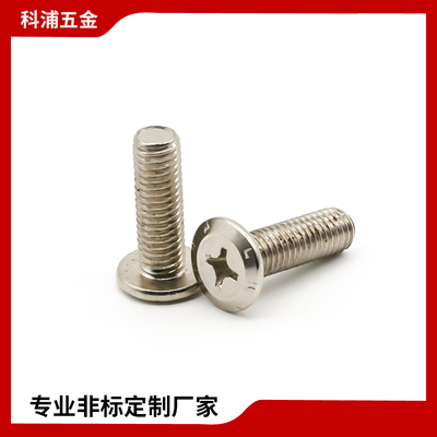 斜平头带字螺丝